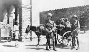 Transport de l