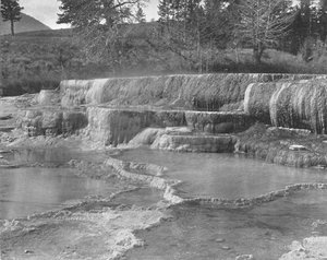 Sources sulfureuses brunes, Parc national de Yellowstone, USA, vers 1900
