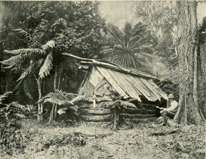 Cabane de brousse, Dandenong Ranges, Victoria - Unbekannt