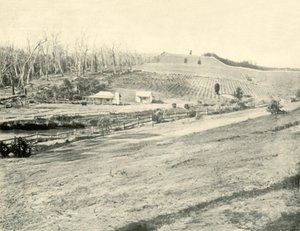 Maison de travailleur de brousse, Gippsland, Victoria, 1901 - Unbekannt