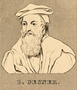 C. Gesner, 1516-1565, 1830 - Unbekannt