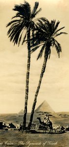 Le Caire - Les pyramides de Gizeh, vers 1918-1939