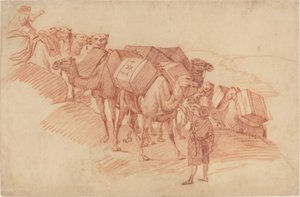 Caravane de chameaux