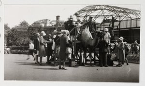 Balade à dos de chameau, vers 1930 - Unbekannt