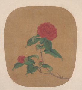 Fleurs de camélia - Unbekannt