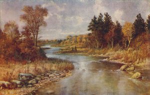 Scène de Forêt Canadienne, 1924 - Unbekannt