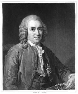 Carolus Linnaeus, naturaliste suédois du 18e siècle, 1835 - Unbekannt