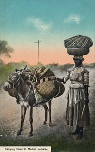 Transport de charbon au marché, Jamaïque, début du 20ème siècle - Unbekannt