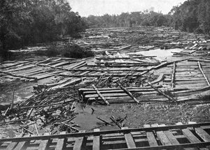 Bûches de cèdre sur la rivière Tebicuary-Guazu flottant près du pont ferroviaire, Paraguay, 1911