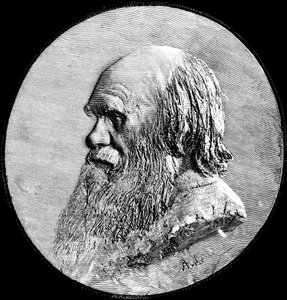 Charles Darwin, 1882 - Unbekannt