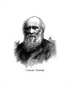 Charles Darwin, naturaliste britannique du 19e siècle, 20e siècle