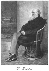 Charles Darwin, naturaliste anglais, 1883