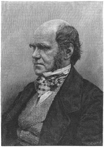 Charles Darwin, naturaliste anglais, 1884 - Unbekannt