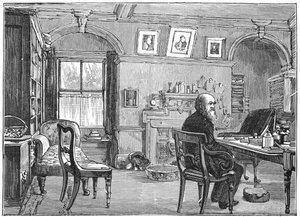 Charles Darwin, naturaliste anglais, dans son étude, c1870 - Unbekannt