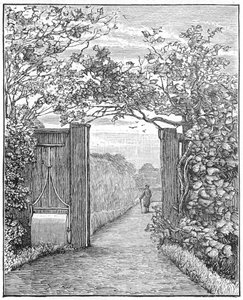 Charles Darwin dans le sentier de sable à Down House, vers 1870-1887 - Unbekannt