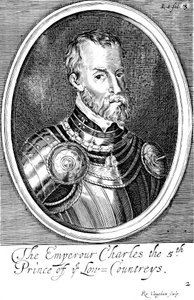 Charles V, roi d
