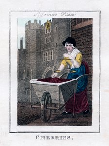 Cerises, palais de St James, Londres - Unbekannt