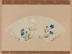 Campanules chinoises