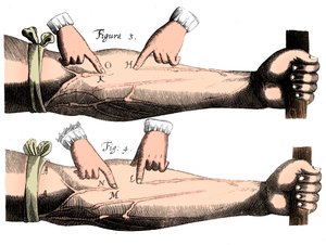 Circulation du sang, 1628 - Unbekannt