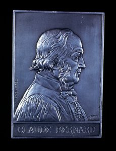 Claude Bernard, physiologiste français du 19ème siècle, 1913