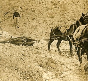 Nettoyage du champ de bataille, vers 1914-1918 - Unbekannt
