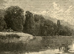 Cliefden Woods, 1898 - Unbekannt
