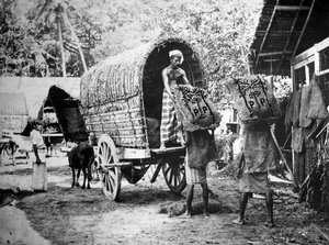 Production de noix de coco, Inde, XXe siècle
