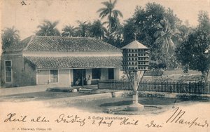 Plantation de café, vers 1900 - Unbekannt