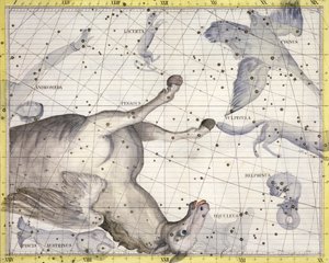 Constellation de Pégase, 1729