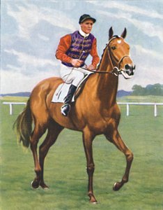 Cosmopolitan, Jockey : J. Crouch, 1939 - Unbekannt