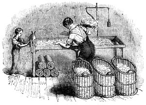 Fabrication du coton, vers 1845