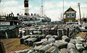 Quais de coton, La Nouvelle-Orléans, Louisiane, USA, début du 20ème siècle - Unbekannt