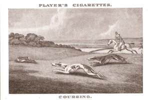 Coursing-11, 1924 - Unbekannt