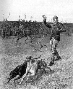 Coursing : Lâcher les lévriers, 1887