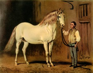 Cheval de Carrosse Crème de l