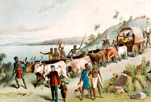 David Livingstone, missionnaire écossais et explorateur africain, 1849 c1878 - Unbekannt