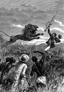 David Livingstone, missionnaire écossais et explorateur africain, attaqué par un lion, vers 1860 - Unbekannt