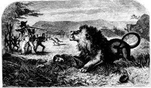 David Livingstone, sauvé d