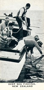 Pêche en haute mer, Nouvelle-Zélande, 1927 1937 - Unbekannt