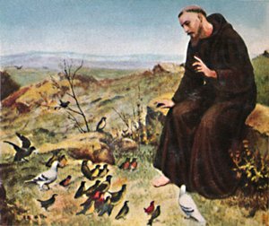 Saint François d