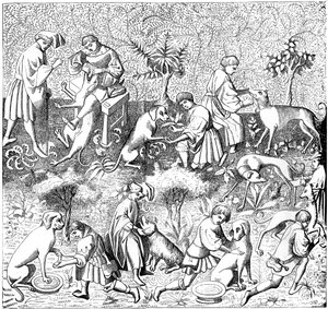 Maladies des chiens et leurs remèdes, XIVe siècle, 1849