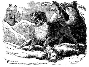 Chien de l