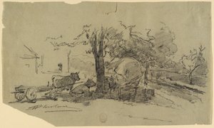 Dessin (États-Unis)