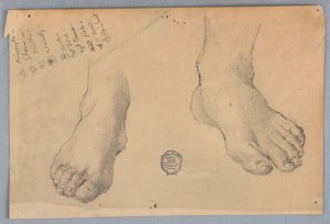 Dessin (États-Unis)