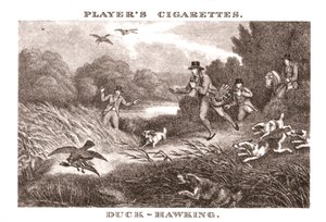 Chasse au canard, 1924 - Unbekannt