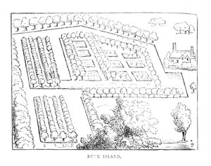 Île aux Canards, vers 1870 - Unbekannt