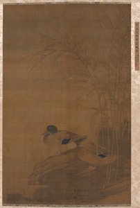 Canards sous les roseaux - Unbekannt