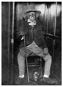 Effigie de Jeremy Bentham avec sa tête embaumée, University College, Londres, 1956