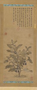 Aubergine, dynastie Ming, 1368-1644 - Unbekannt