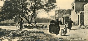 Égypte - Village près du Caire, vers 1918-1939